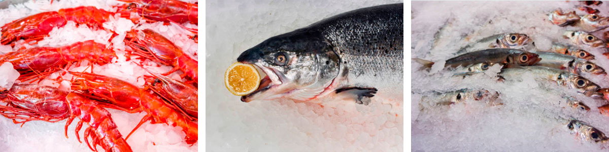 Хранение рыбы и морепродуктов